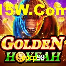 Premium Interface cpcp98